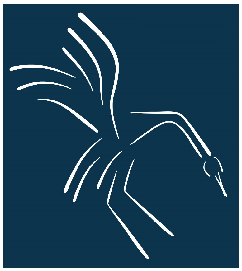 simple line drawing of a bird with extended wings against blue background